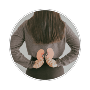 Pakiet badań Nerkowy