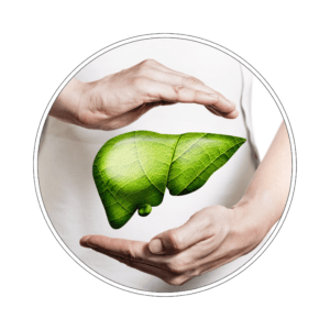 Pakiet badań wątroba i trzustka