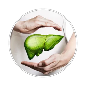 Pakiet badań wątroba i trzustka