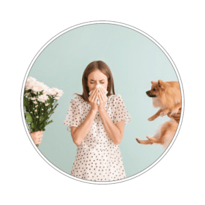 Pakiet badań Alergia TEST ALEX