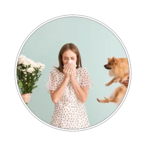 Pakiet badań Alergia TEST ALEX