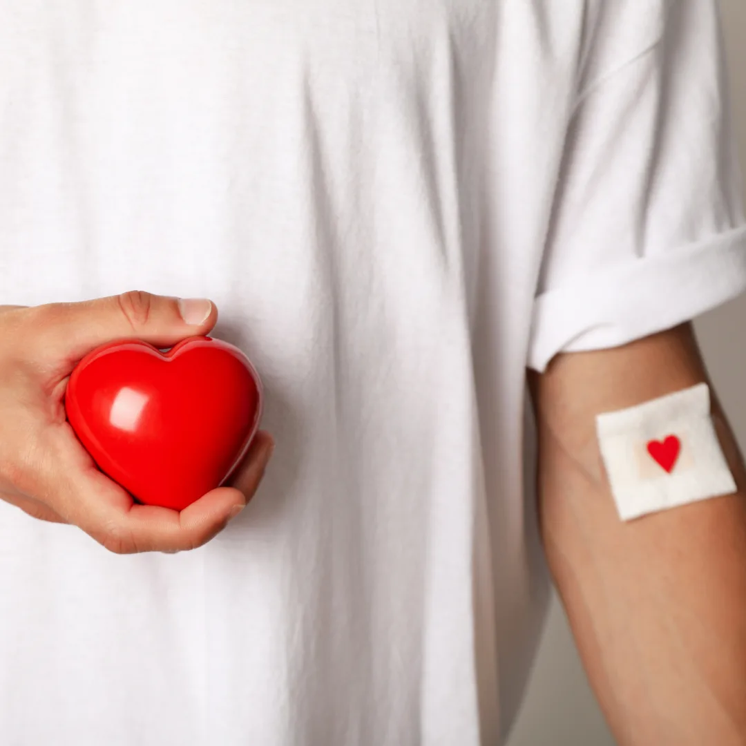 Profil lipidowy (lipidogram) – co warto wiedzieć?