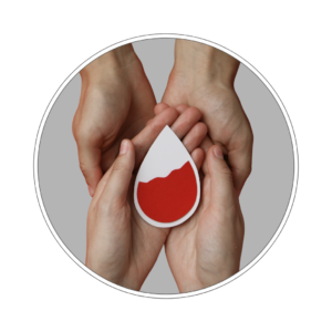 Pakiet badań ferrytyna