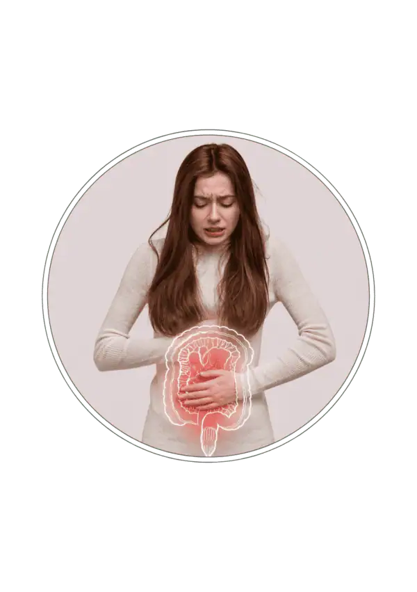 Ilustracja jelit – diagnostyka układu pokarmowego
