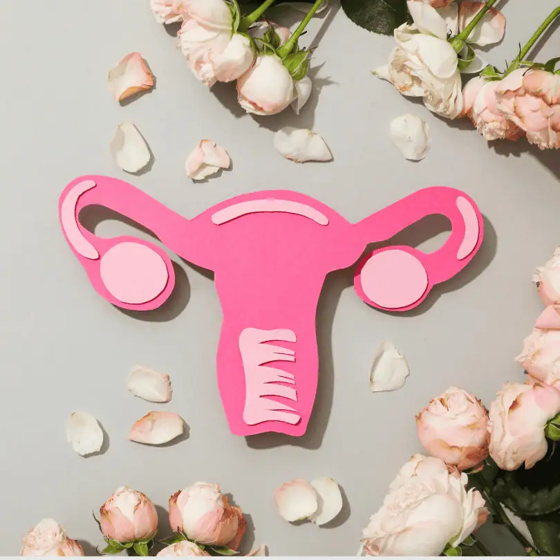 Badanie hormonalne dla kobiet w cyklu menstruacyjnym.